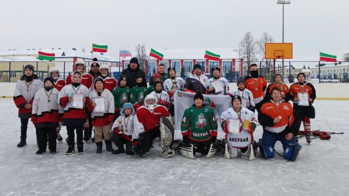 Аксубаевский «Барс» играл лучше всех