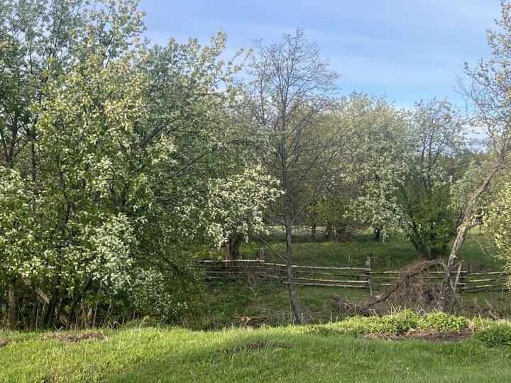 Прогноз погоды в Аксубаеве на 4 мая