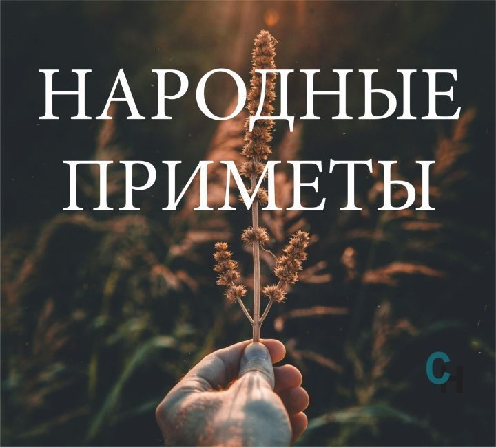 Народные приметы на 25 апреля