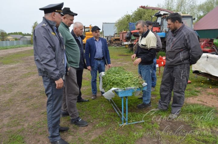 В Аксубаевском районе кормозаготовкам дадут зеленый свет