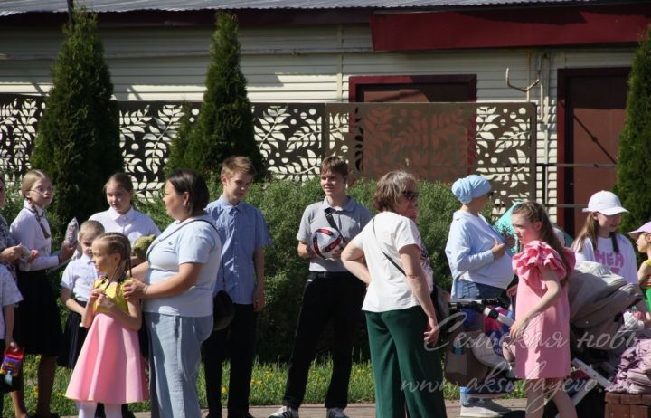 В Аксубаеве выступит народный артист Татарстана Виль Усманов
