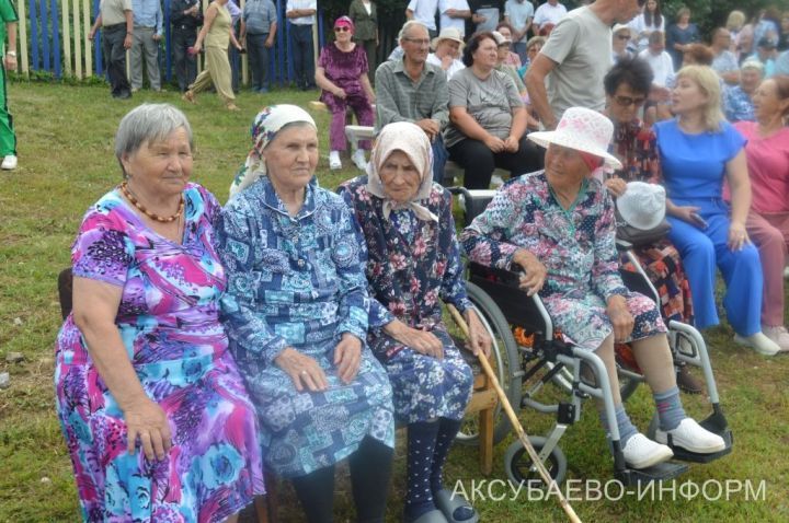Яңа Мокшинода Авыл көнен билгеләп үттеләр