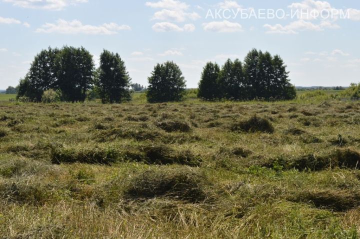 Прогноз погоды в Аксубаеве на 9 июля